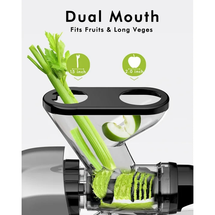 SIFENE 100W Cold Press Juicer Machine, Compact Design, Quiet Motor, Easy Clean, Gray, New