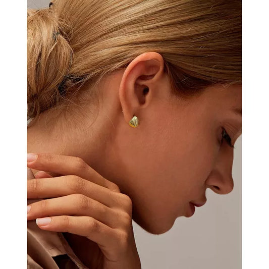 Molenia 14K Gold Plated Seashell Earrings 925 Sterling Silver Shell Stud Earrings Beach Jewelry Ocean Summer Vacation Small Gifts for Women Her Girls